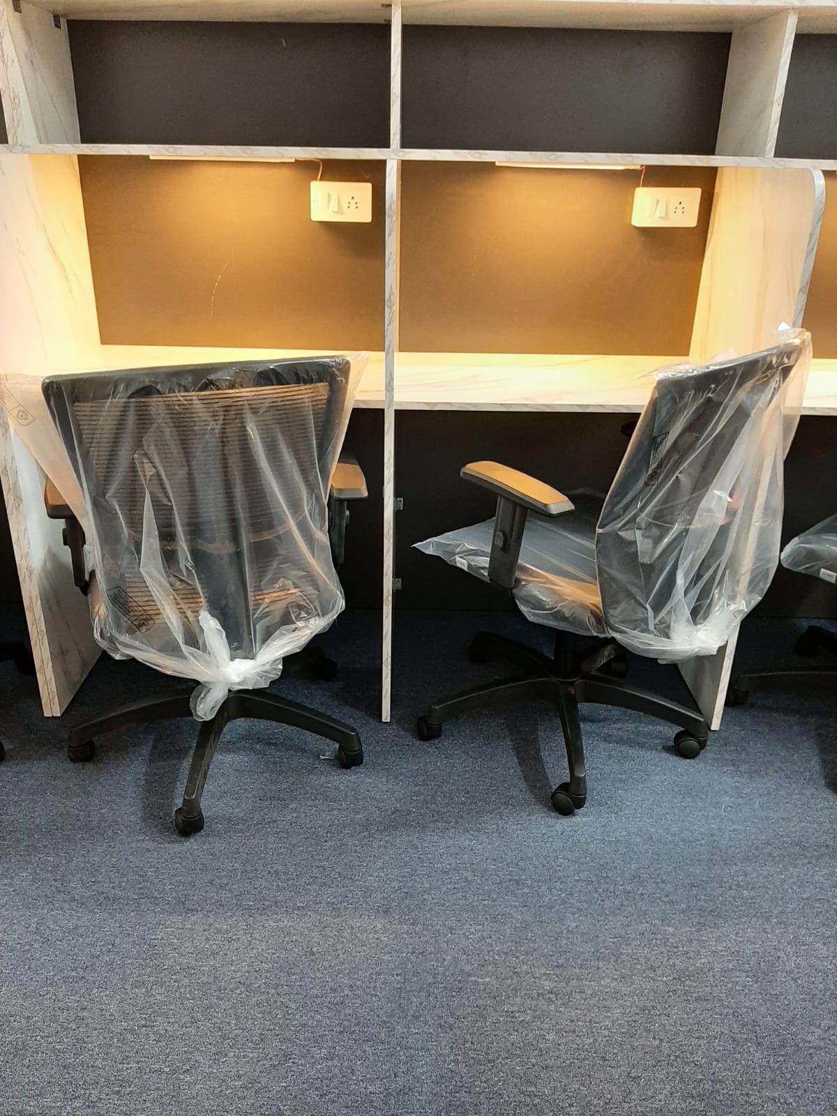 WhatsApp Image 2025-02-25 at 12.47.22 PM.jpeg